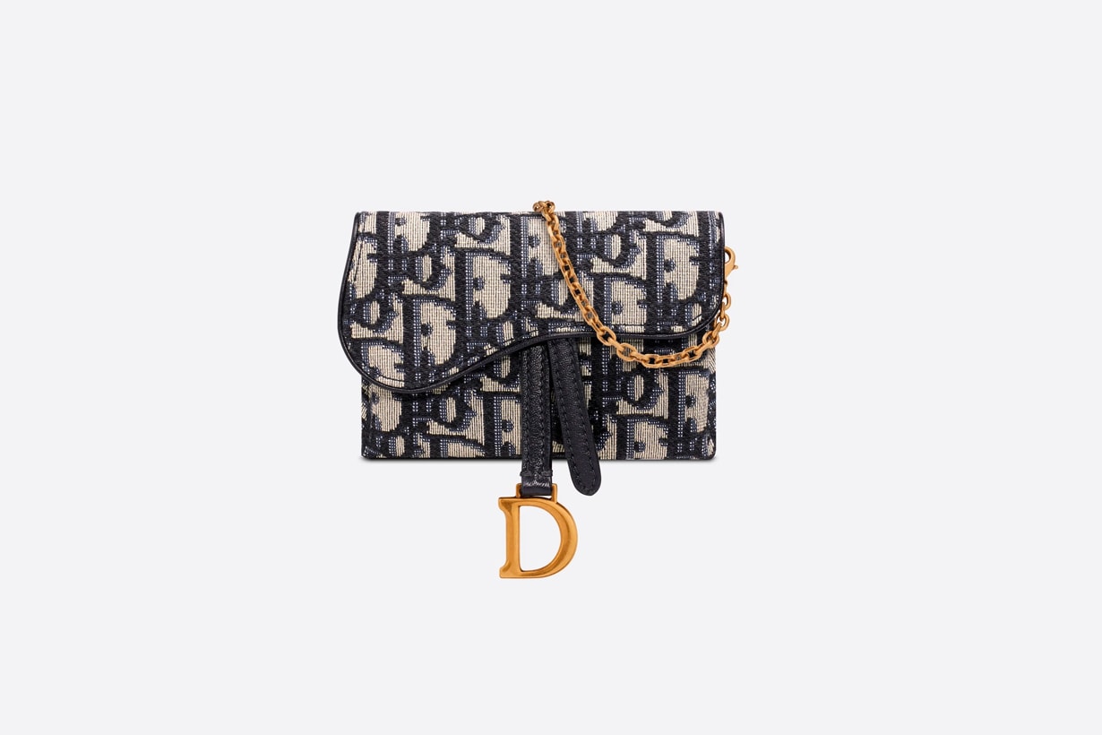 dior saddle nano pouch wallet cardholder mini bags