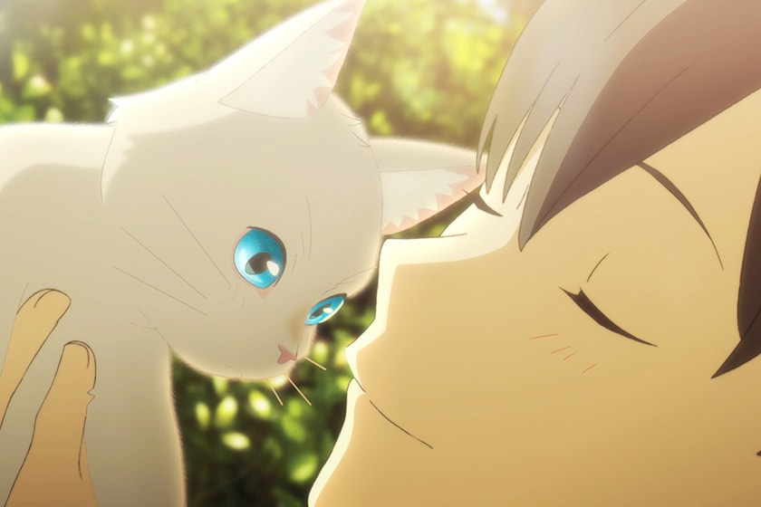 Netflix Studio Colorido Animated Film Naki Neko