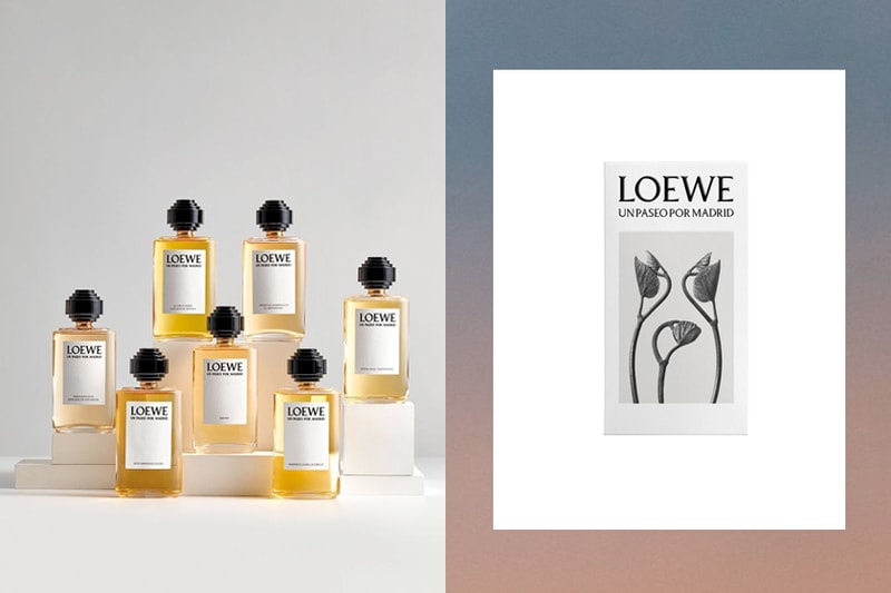 loewe perfume un paseo por madrid set all scents once