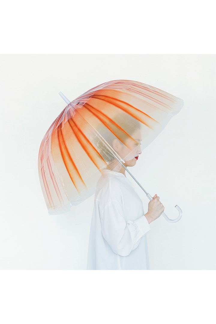 Japanese Brand Rainy Day