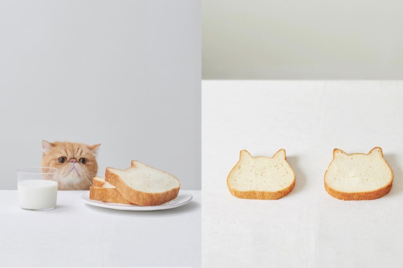Neko Neko Shokupan cat toast taiwan