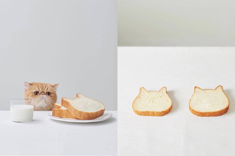 Neko Neko Shokupan cat toast taiwan