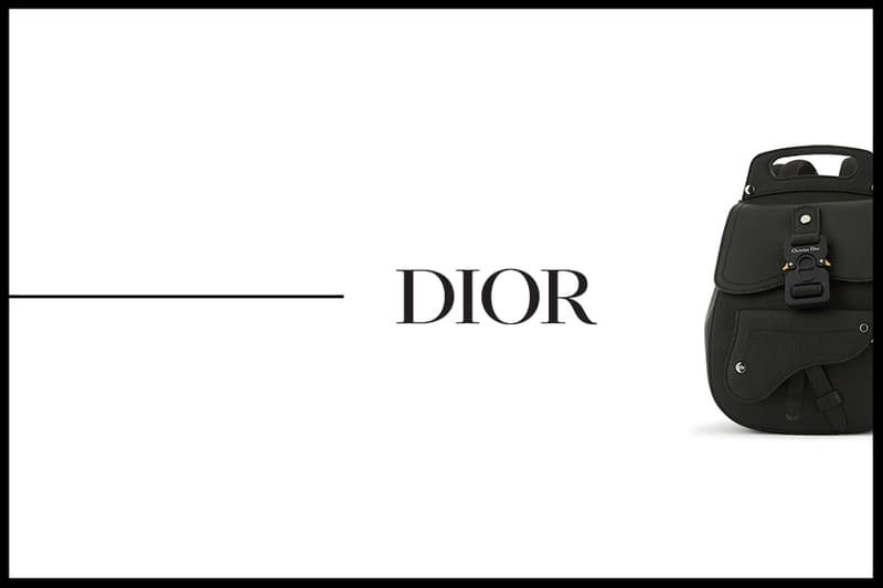 dior saddle backpack in calfskin release