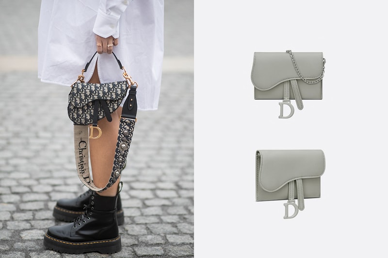 dior saddle nano pouch pelle di vitello ultraopaca grigio pietra handbags