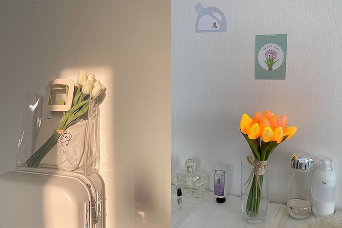 風靡 IG 的質感小物:韓國女生家中,都有這一盞鬱金香燈!