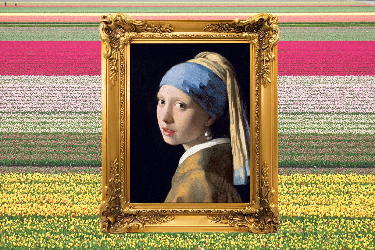 Girl with a Pearl Earring Het meisje met de parel Johannes Vermeer Mauritshuis Painting Colin Firth Scarlett Johansson Tracy Chevalier Oscar Movie