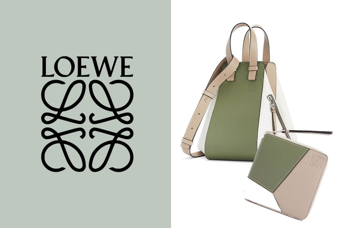 一秒愛上的淡雅風格：Loewe 的 It Bags、錢包以森林色系亮相！