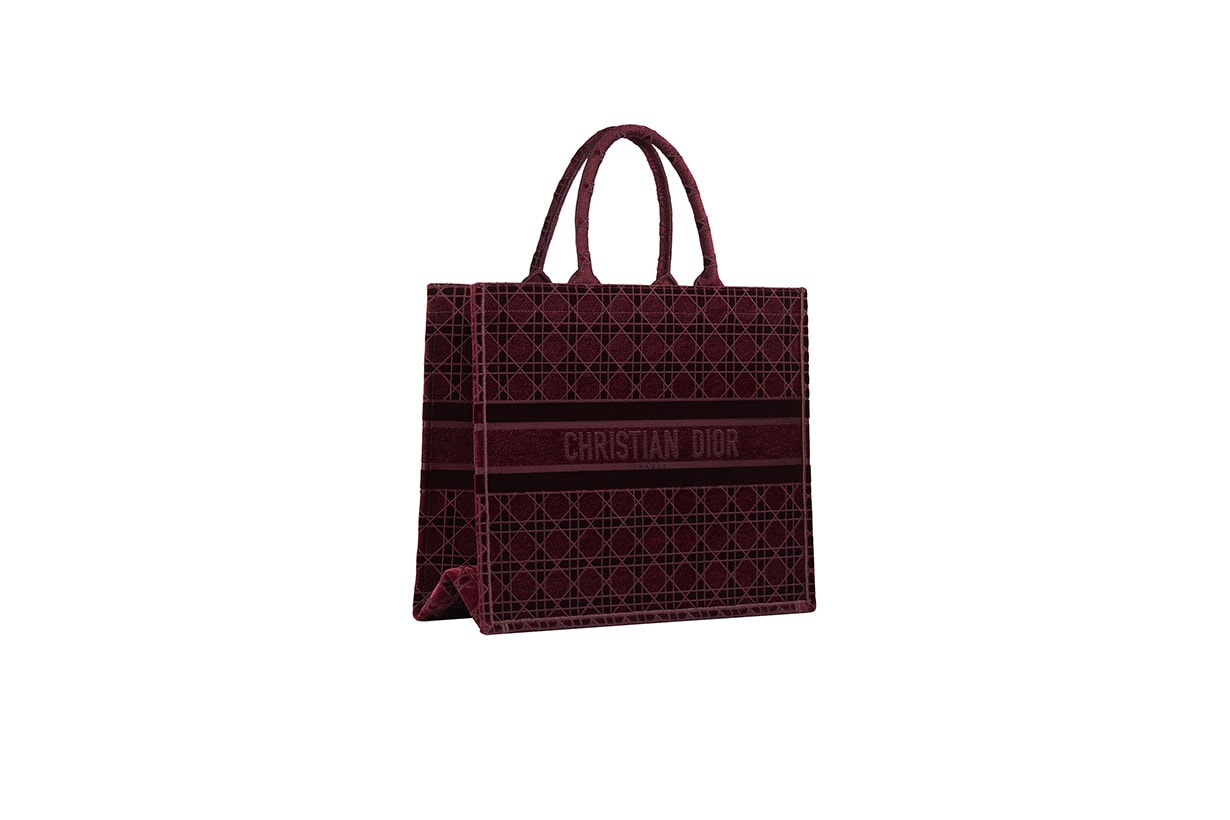 Dior 2020fw velvet handbags saddle bag book tote Lady D-Lite