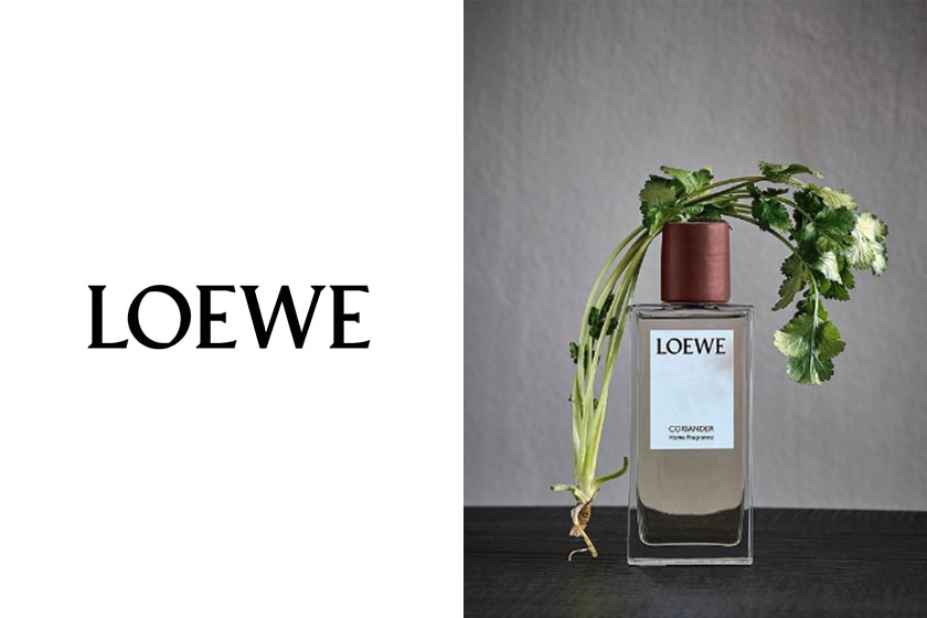 loewe Home Scents collection coriander candles and Home Fragrances jonathan anderson