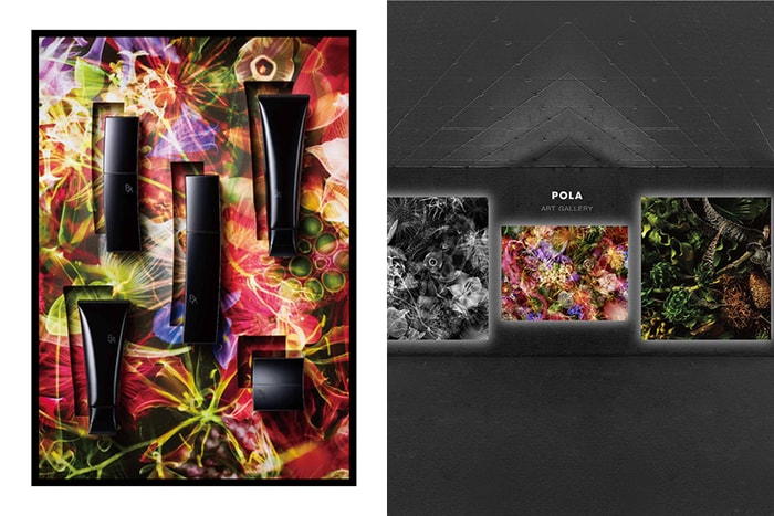 探索沉睡的美麗:POLA 線上「X-RAY 花藝展」,在家感受破革藝術體驗!