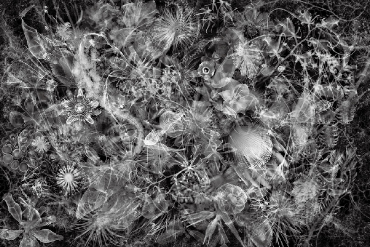 POLA Online Art Gallery