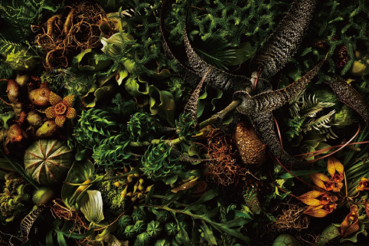 POLA Online Art Gallery