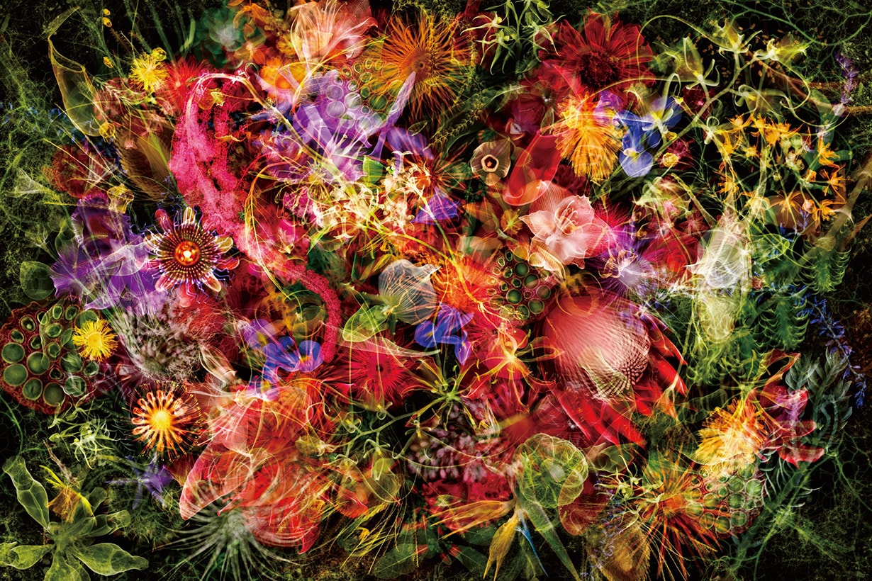 POLA Online Art Gallery