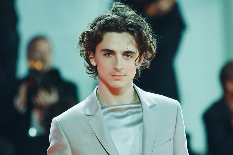 Timothée Chalamet interview stevie wonder magazine odda