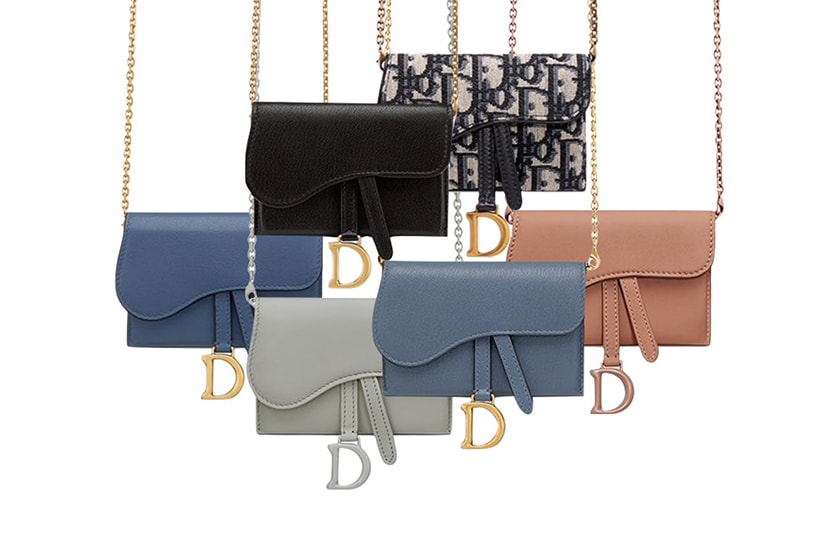 Dior Saddle Nano Pouch Colors