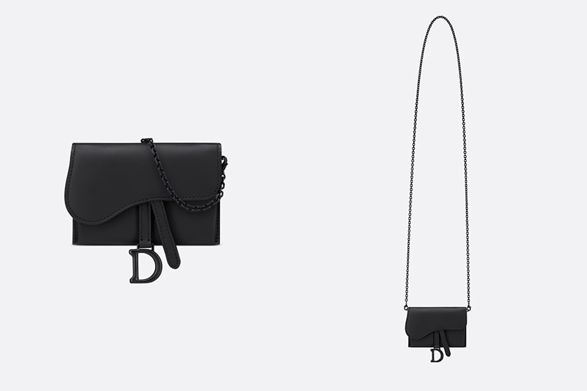 Dior Saddle Nano Pouch Colors