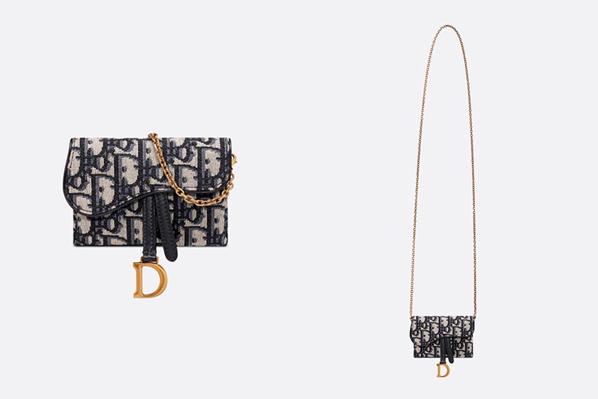 Dior Saddle Nano Pouch Colors