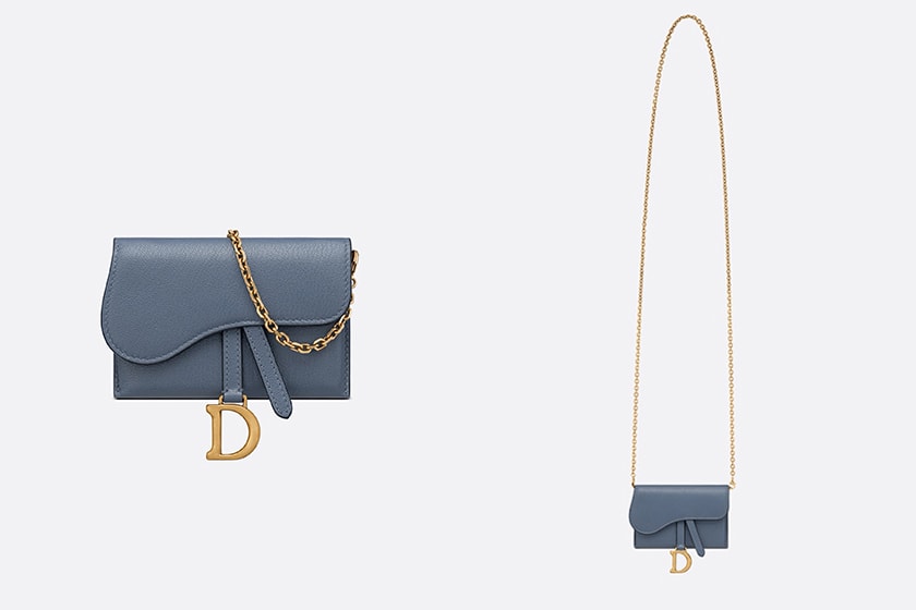 Dior Saddle Nano Pouch Colors