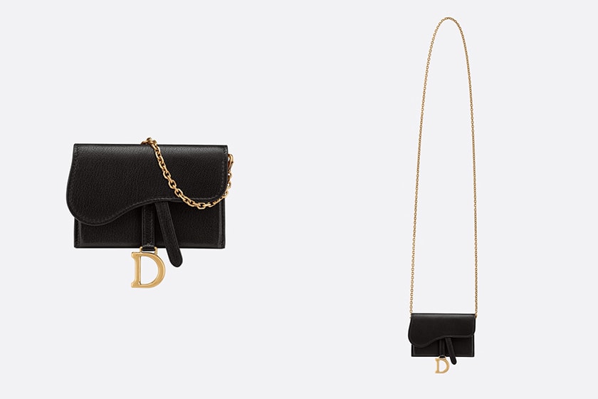 Dior Saddle Nano Pouch Colors