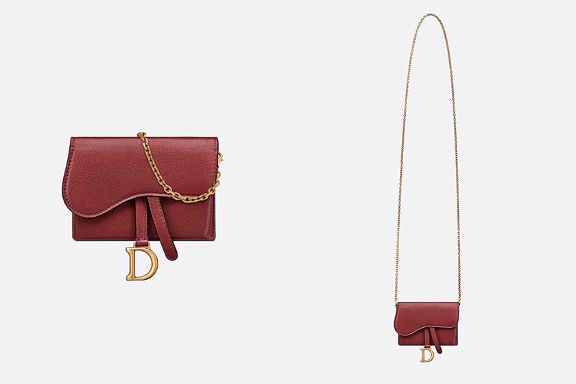 Dior Saddle Nano Pouch Colors