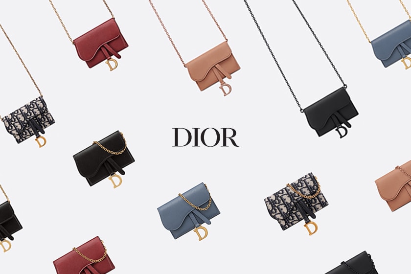 Dior Saddle Nano Pouch Colors