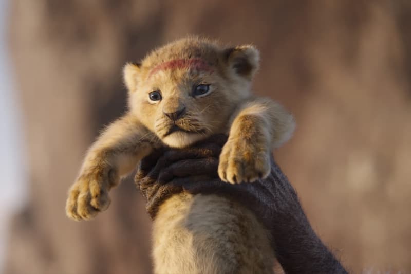 disney the lion king sequel barry jenkins director live action