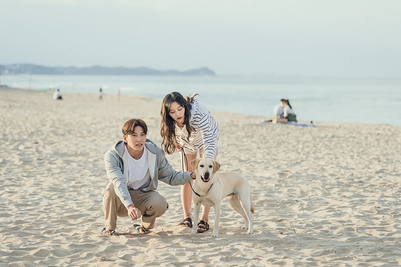 netflix 2020 12 movie drama list