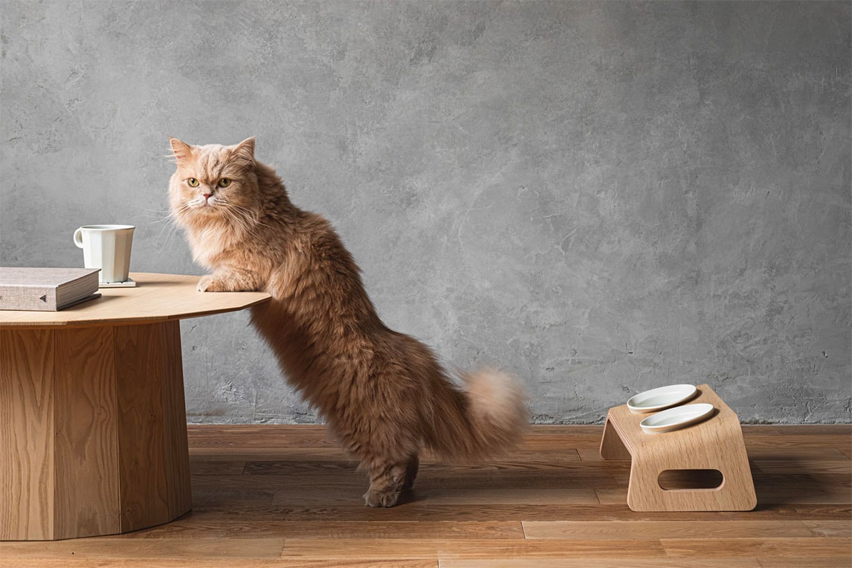 KARIMOKU cat table lifestyle pets