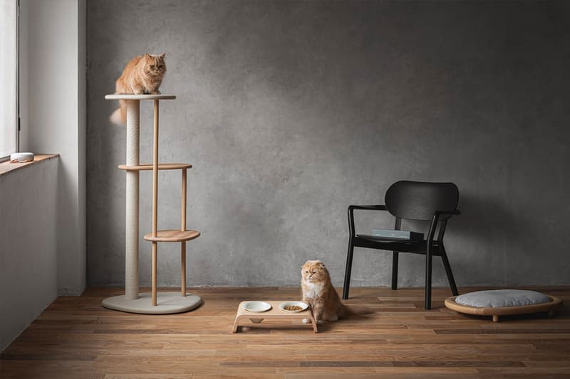 KARIMOKU cat table lifestyle pets