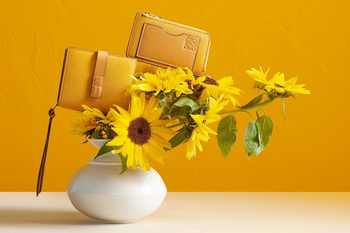 loewe wallet new color november sun flower Rosemary