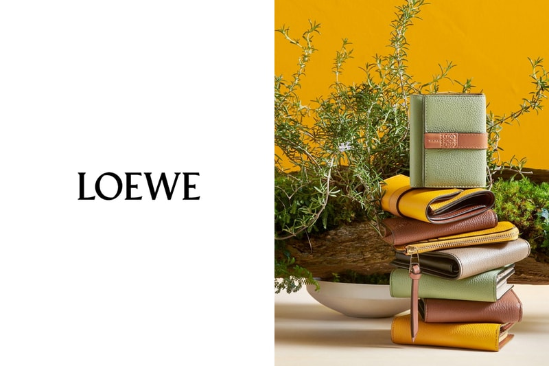 loewe wallet new color november sun flower Rosemary