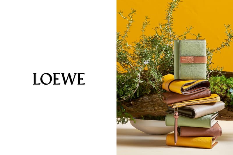loewe wallet new color november sun flower Rosemary