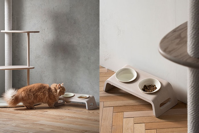引起熱烈迴響：日本新推出「貓餐桌」，降低貓咪進食時的壓迫！