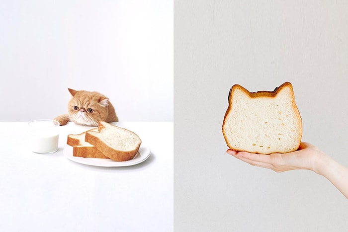 可愛外型風靡日本女生之間的「貓咪吐司」Neko Neko Shokupan 台灣快閃店限時販售中!