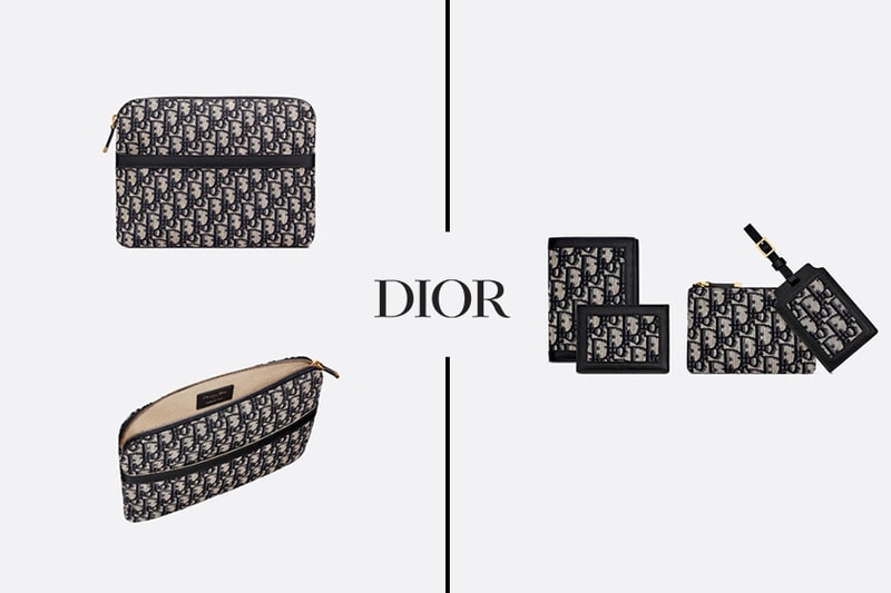 dior DIORTRAVEL Oblique travel bags