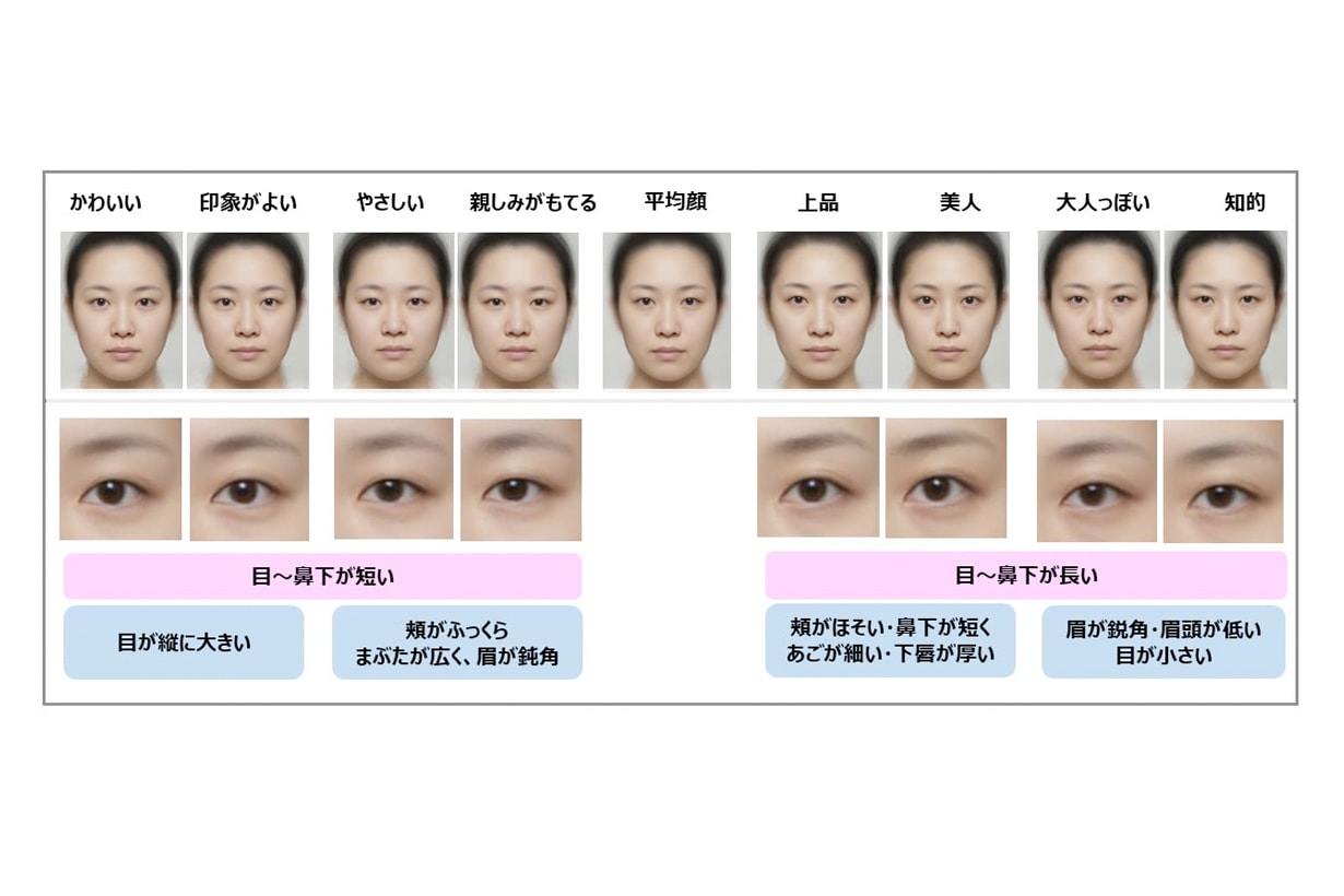 kao japanese women girl average face proportion investigation
