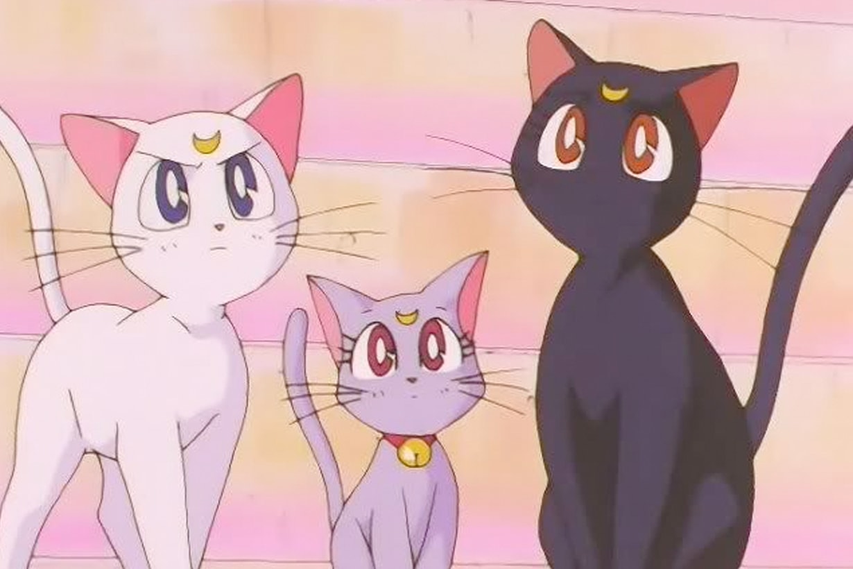 Neko Neko sailor moon luna toast Shokupan limited where buy japan 2021 movie