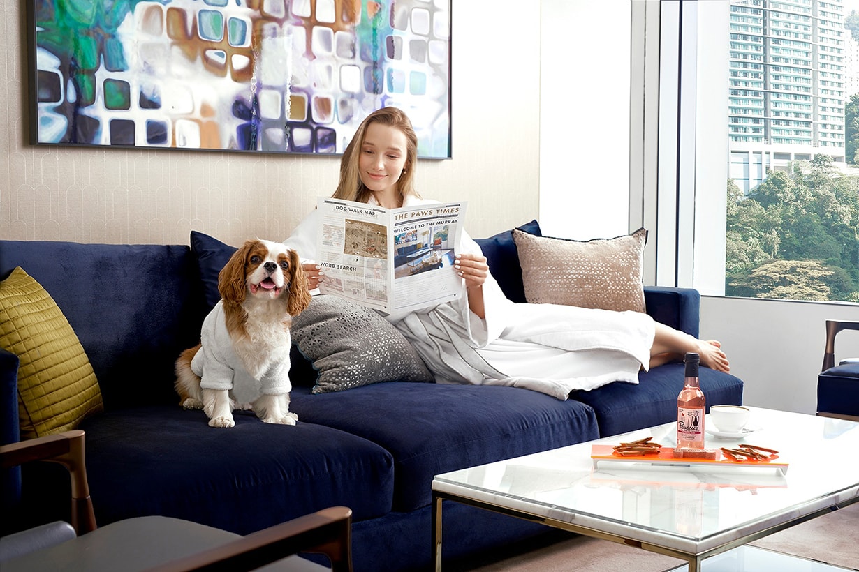 The Murray Staycation Dog