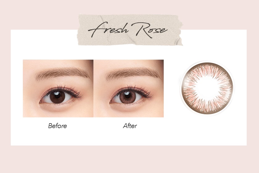 acuvue-define-fresh rose