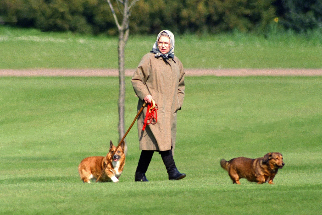 Queen Elizabeth II Prince Philip Corgi Pet Dog dachshund-corgi Fergus Muick Fergus Bowes-Lyon WWI Loch Muick Balmoral estate Scotland British Royal Family