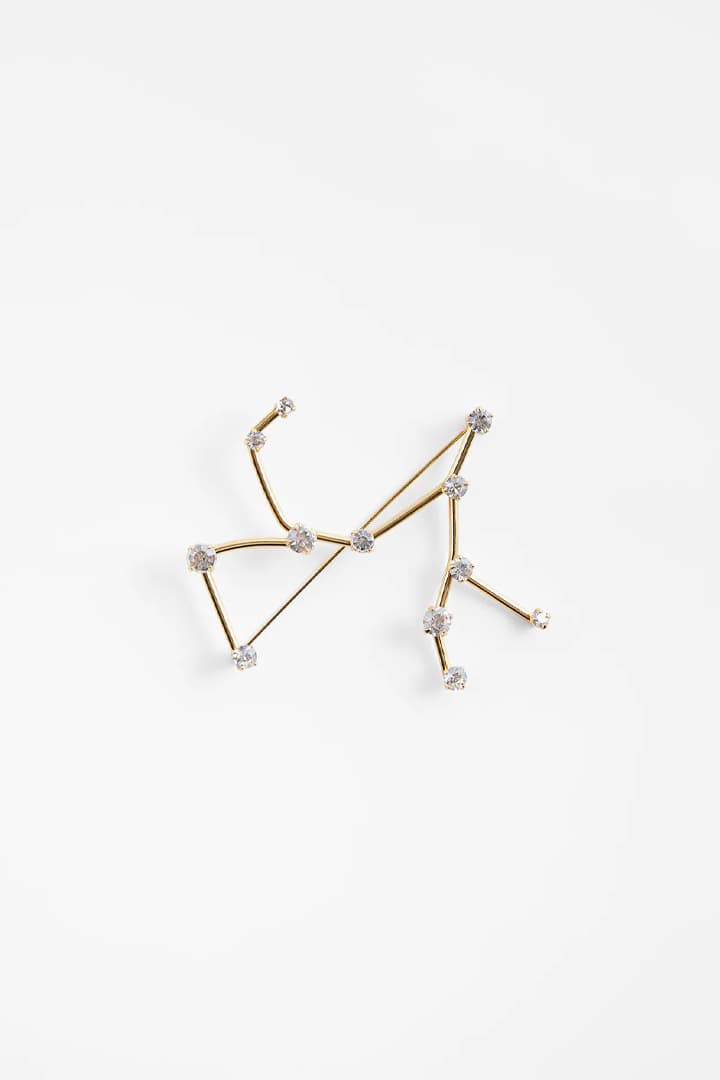 Zara Horoscope Brooch collection 2021 Spring Summer Fashion items accessories Aries Taurus Gemini Cancer Leo Virgo Libra Scorpio Sagittarius Capricorn Aquarius Pisces