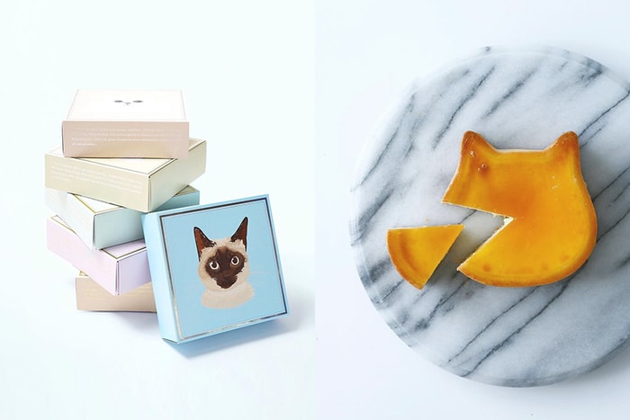 貓奴請注意:日本女生風靡的貓咪蛋糕「Neko Neko Cheesecake」台灣快閃情報公開!