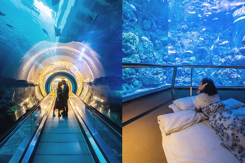 Sleepover in Aquarium Pingtung Taiwan