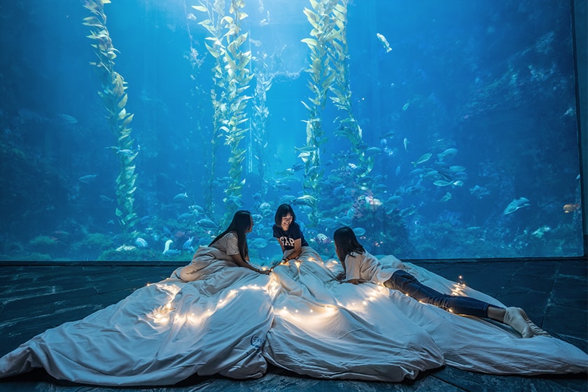 Sleepover in Aquarium Pingtung Taiwan