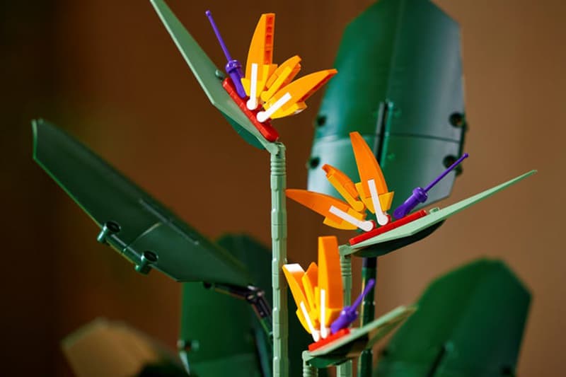 LEGO Bird of Paradise 10289