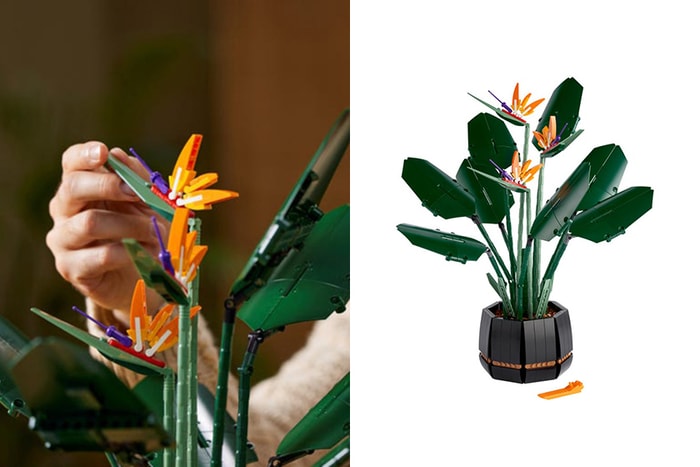 在人氣的花束擺設之後,LEGO 新上架植物「天堂鳥 Bird of Paradise」再度引起討論!