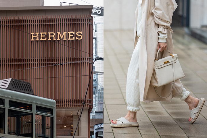 Hermès 一口氣曝光 3 款全新手袋,被稱為最平價 Birkin Bag!