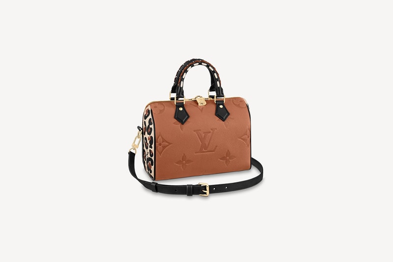 Louis Vuitton 2021 fall Capsule collection handbags wallets accessories