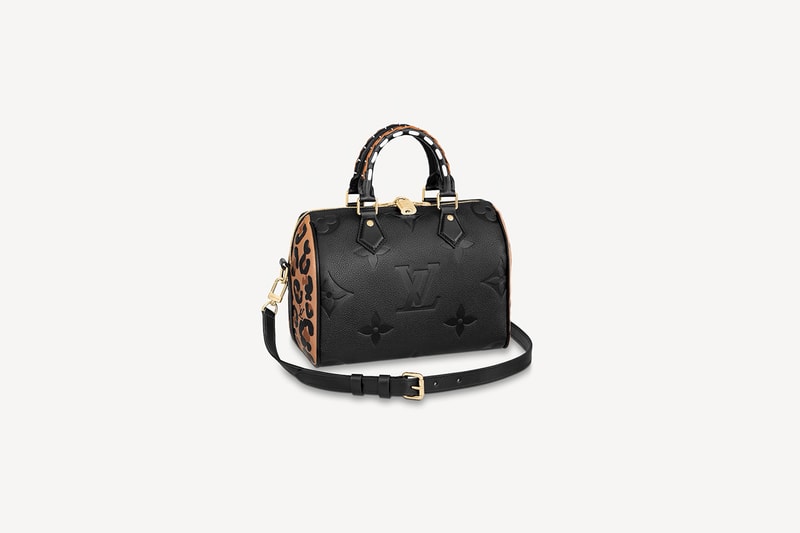 Louis Vuitton 2021 fall Capsule collection handbags wallets accessories
