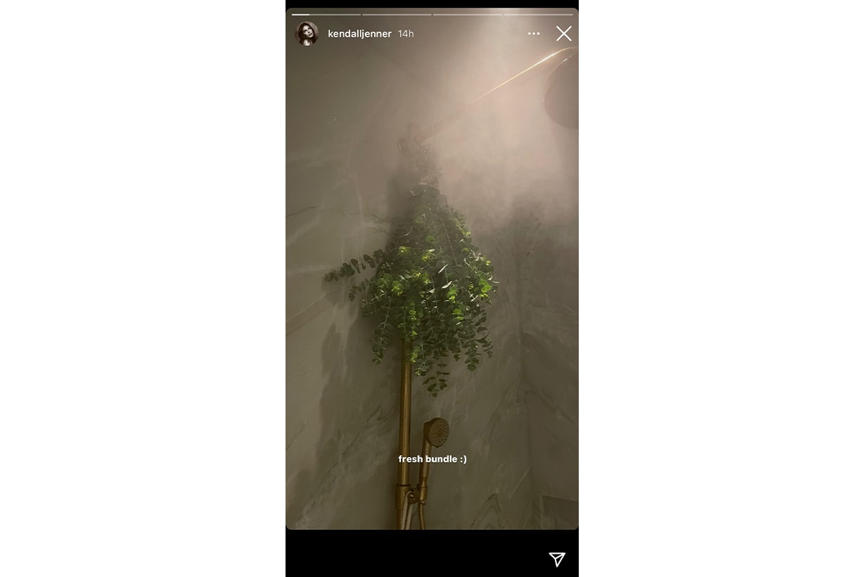 Kendall Jenner Hanging Eucalyptus Leaves bathroom shower diy spa